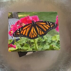Monarch Butterfly Decorative Gift Box with Pink Flowers